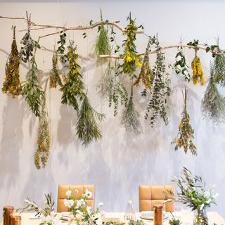 sprg__trunk_さんの写真