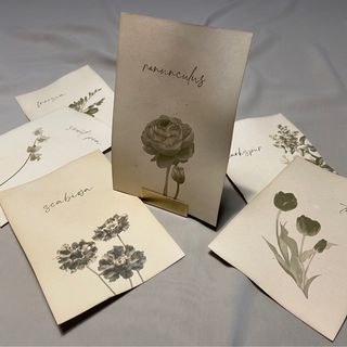 r.313_phiさんの写真