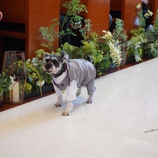 me1005_wdさんの写真