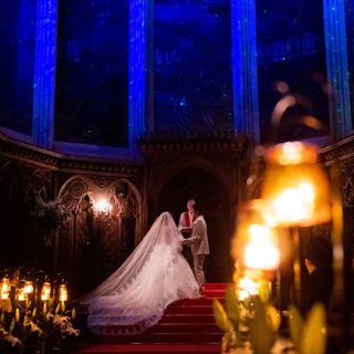 𝒯𝐼𝒩𝒜 𓆸さんの写真