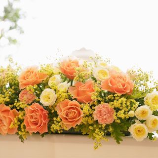 htm_trtさんの写真