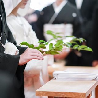 aya_cocomiさんの写真