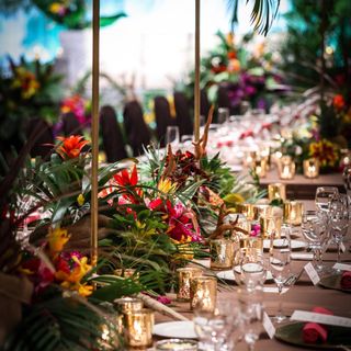 oo.chipi.ooさんの写真