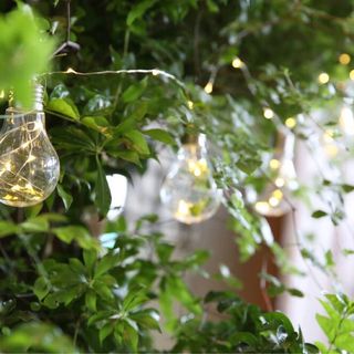 misaki116さんの写真