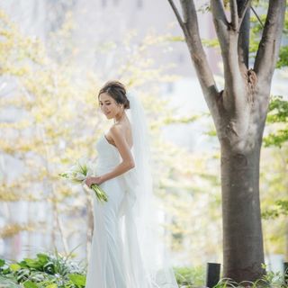 junkonomura1111さんの写真