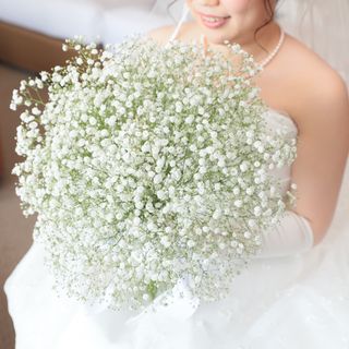 せいらさんの写真