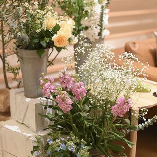 babies___breath0229さんの写真