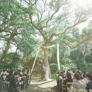 sn49tkさんの写真