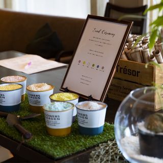 chise_02さんの写真