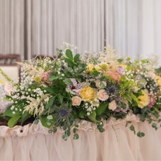 もえさんの写真