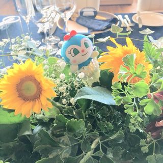 moke0908_wdさんの写真