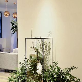 dory_trunkwedさんの写真