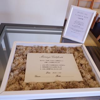 y_w_wdさんの写真