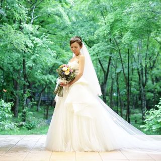 y.dc523さんの写真