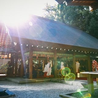 sarimashikanaさんの写真