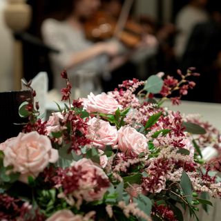 _miy_96さんの写真