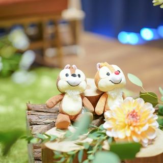 かなさんの写真