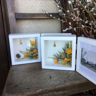 a_w_e_d_d_i_n_gさんの写真