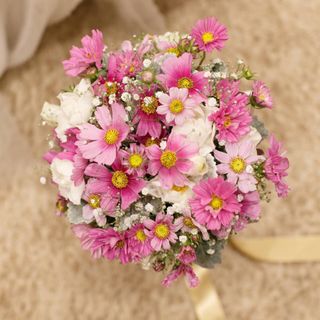 my_wd1026さんの写真