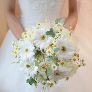 melino0530さんの写真