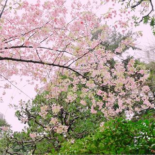 はるさんの写真