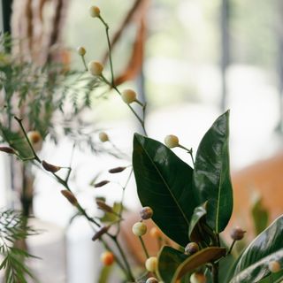 so___0928さんの写真