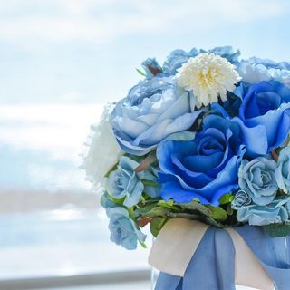 somethingblue.co_さんの写真