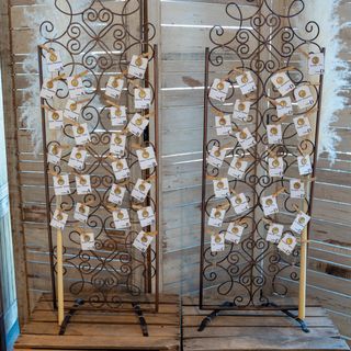 maiko_weddingさんの写真