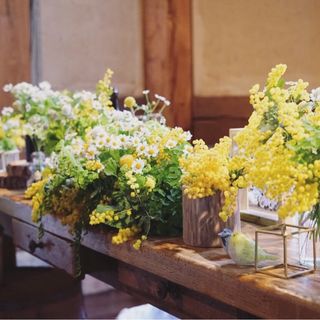 wed_mauさんの写真