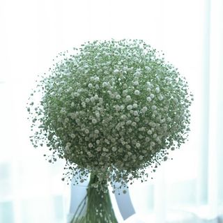 harukatatsukiさんの写真