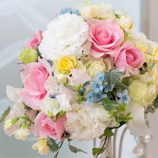 chomomo1223さんの写真