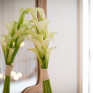 lily_wd1017さんの写真