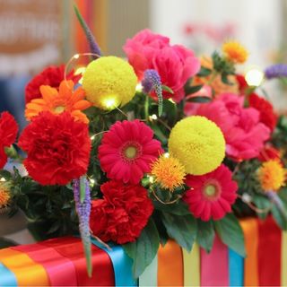 kakipi09さんの写真