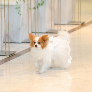 _miii_6さんの写真