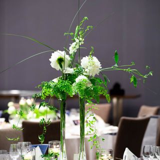 1123__ariさんの写真