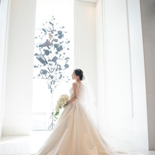 y.kn29さんの写真