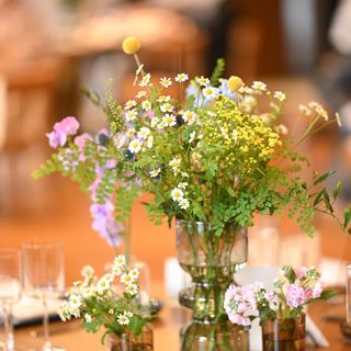 sn.trunk_wdさんの写真