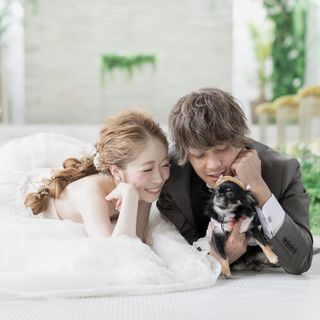 stp5353さんの写真