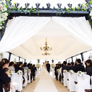 kuma_miiiさんの写真