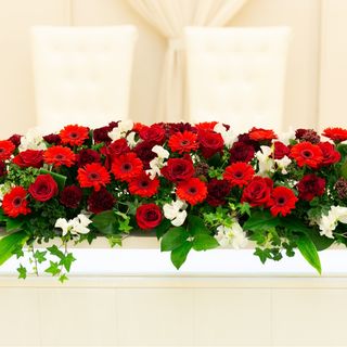 ひーさんの写真