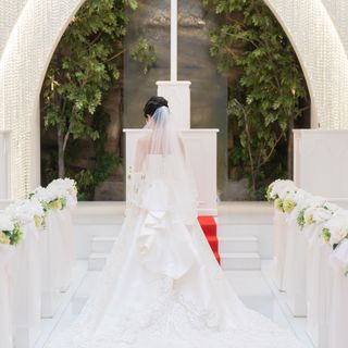 dami718さんの写真