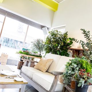 acopa327さんの写真