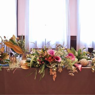 ton_mycoさんの写真