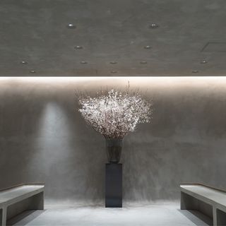 m.s_wed.mさんの写真