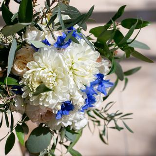 おかえりさんの写真