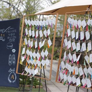 shima180408さんの写真