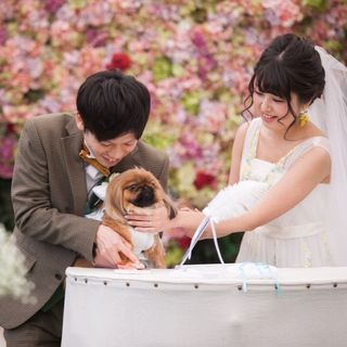 tomomiさんの写真