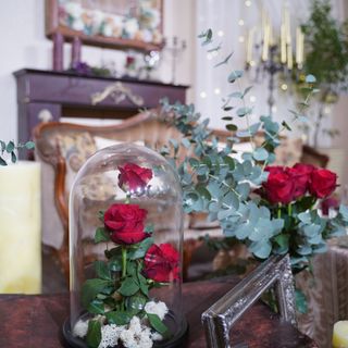 yuuuus_____さんの写真