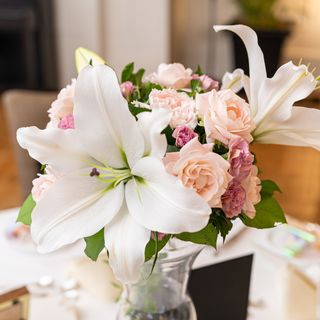 miho20201101さんの写真