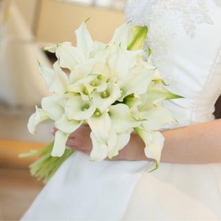 f___.a17さんの写真